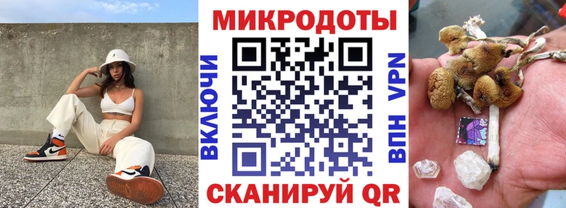 наркота  Калининск  ссылка на мегу зеркало  Галлюциногенные грибы Psilocybe 